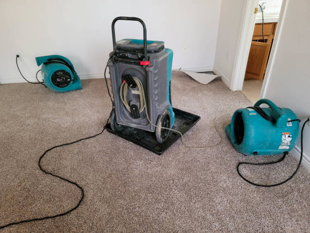Best Commercial water damage restoration  in Beach City, TX