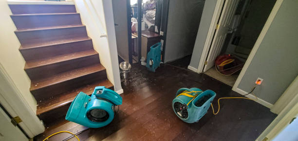Best Sewage cleanup and water damage restoration  in Beach City, TX