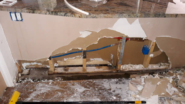 Best Professional water damage repair  in Beach City, TX