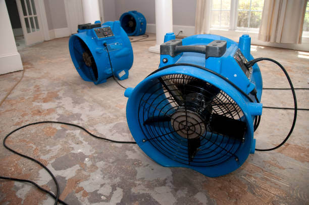 Best Ceiling water damage repair  in Beach City, TX
