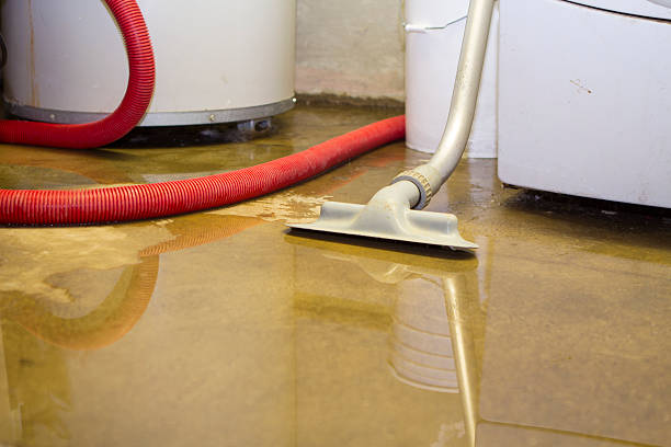 Best Local water damage restoration  in Beach City, TX