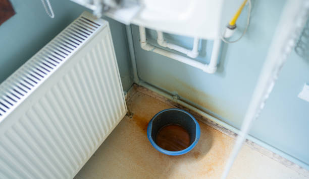 Best Mold removal after water damage  in Beach City, TX