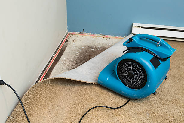 Best Water damage restoration near me  in Beach City, TX